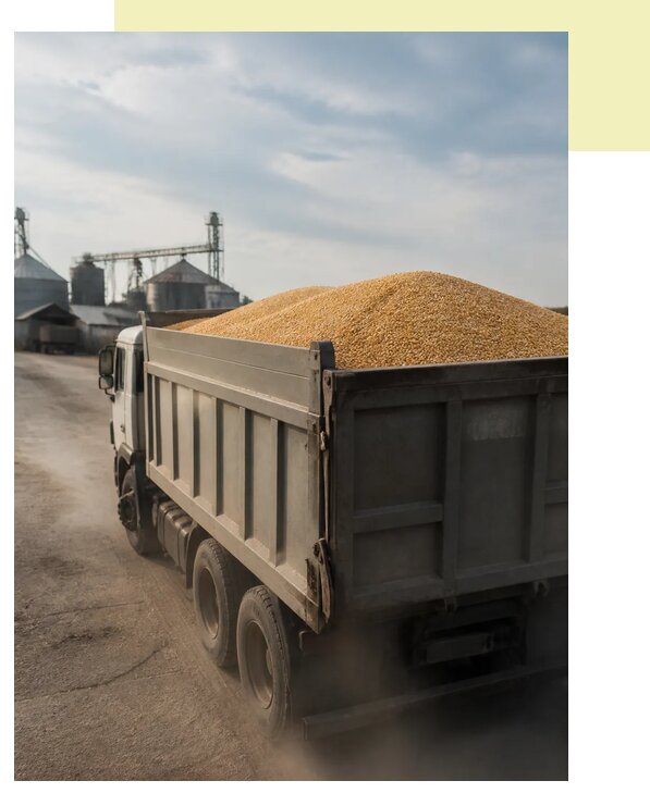 Перевозка сельхозпродукции навалом в Михайловку по цене от 3050 р. | Агросервис-Мхл